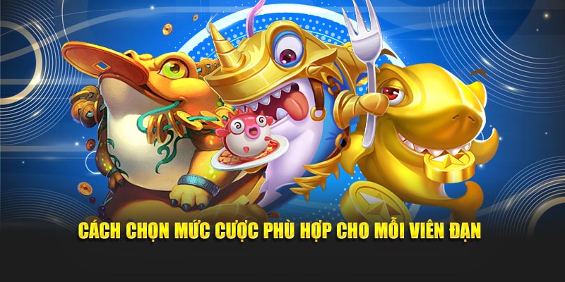 Cách chọn mức cược phù hợp cho mỗi viên đạn