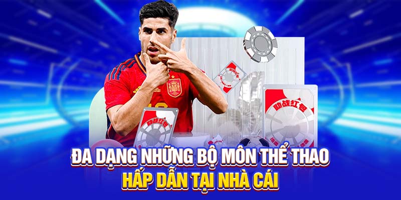 Đa dạng những bộ môn thể thao hấp dẫn tại nhà cái