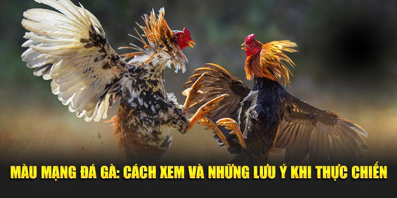 Màu Mạng Đá Gà