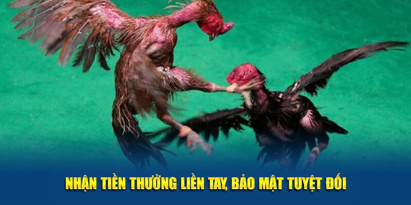 Nhận tiền thưởng liền tay, bảo mật tuyệt đối